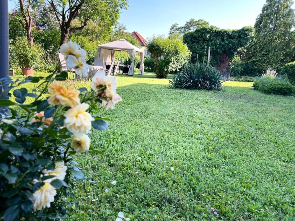 Appartment Rosengarten Baden Luaran gambar